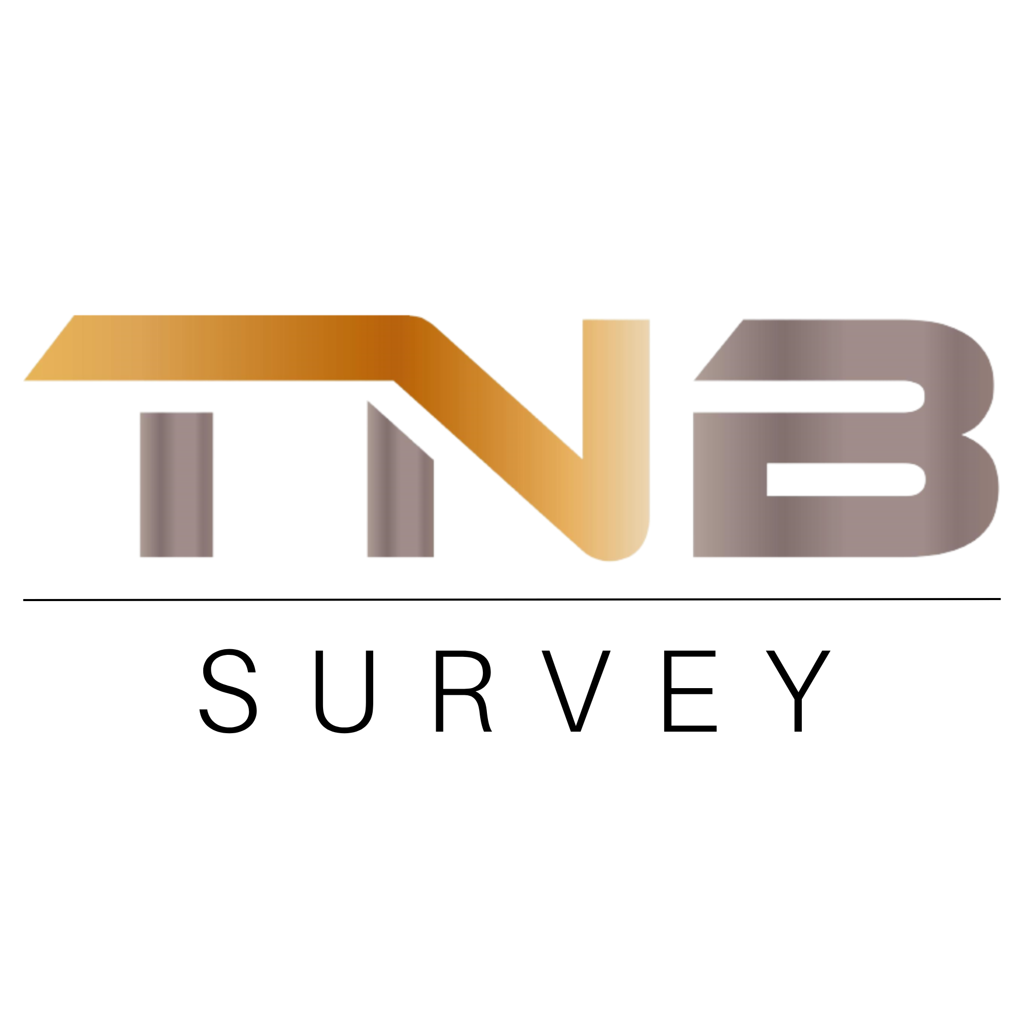 TNB Survey